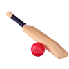 Cricket_Satsport